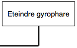 Action : éteindre gyrophare