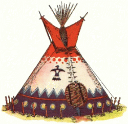 Tipi