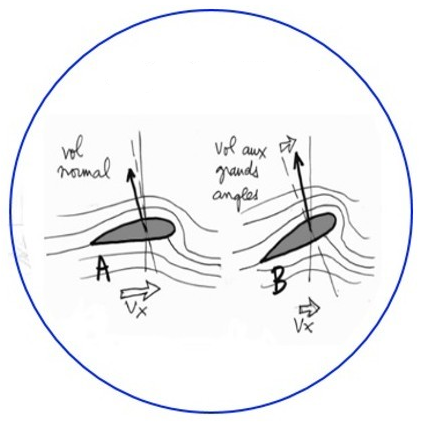 Croquis résultant d'une expérimentation